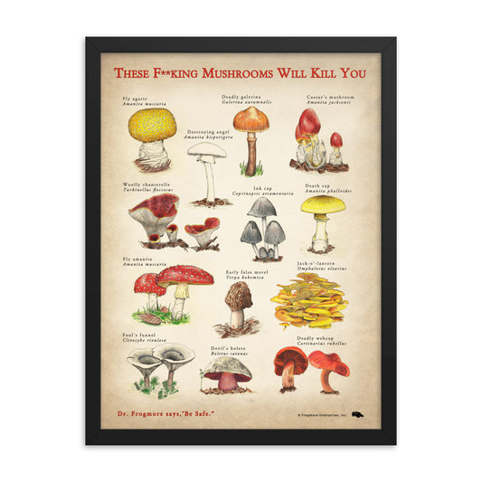 Framed Poster - Killer Mushrooms