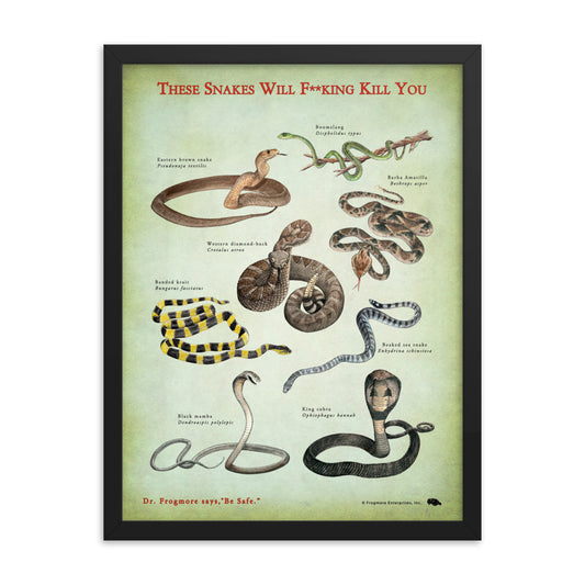 Framed Poster - Killer Snakes