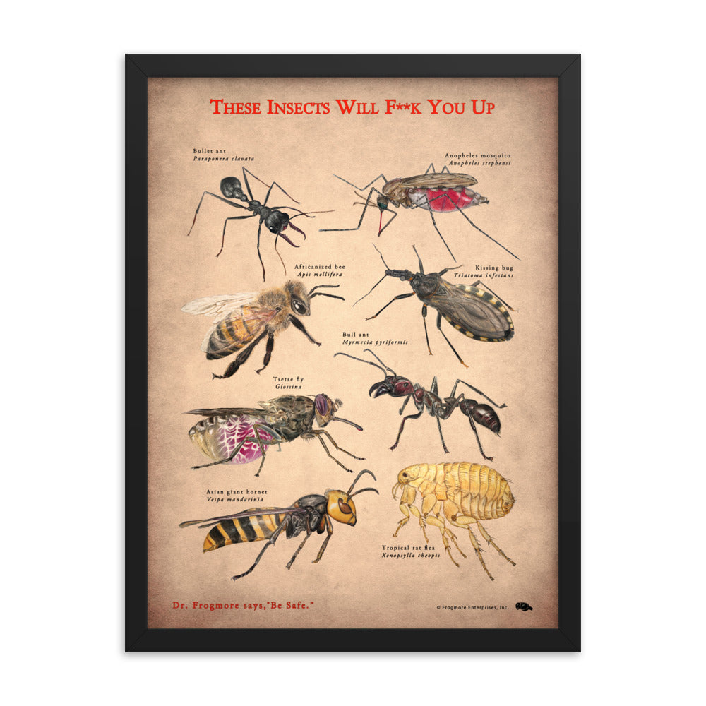 Framed Poster - Killer Insects