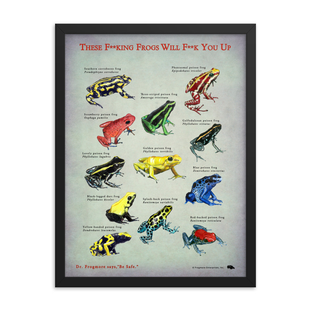 Framed Poster - Killer Frogs