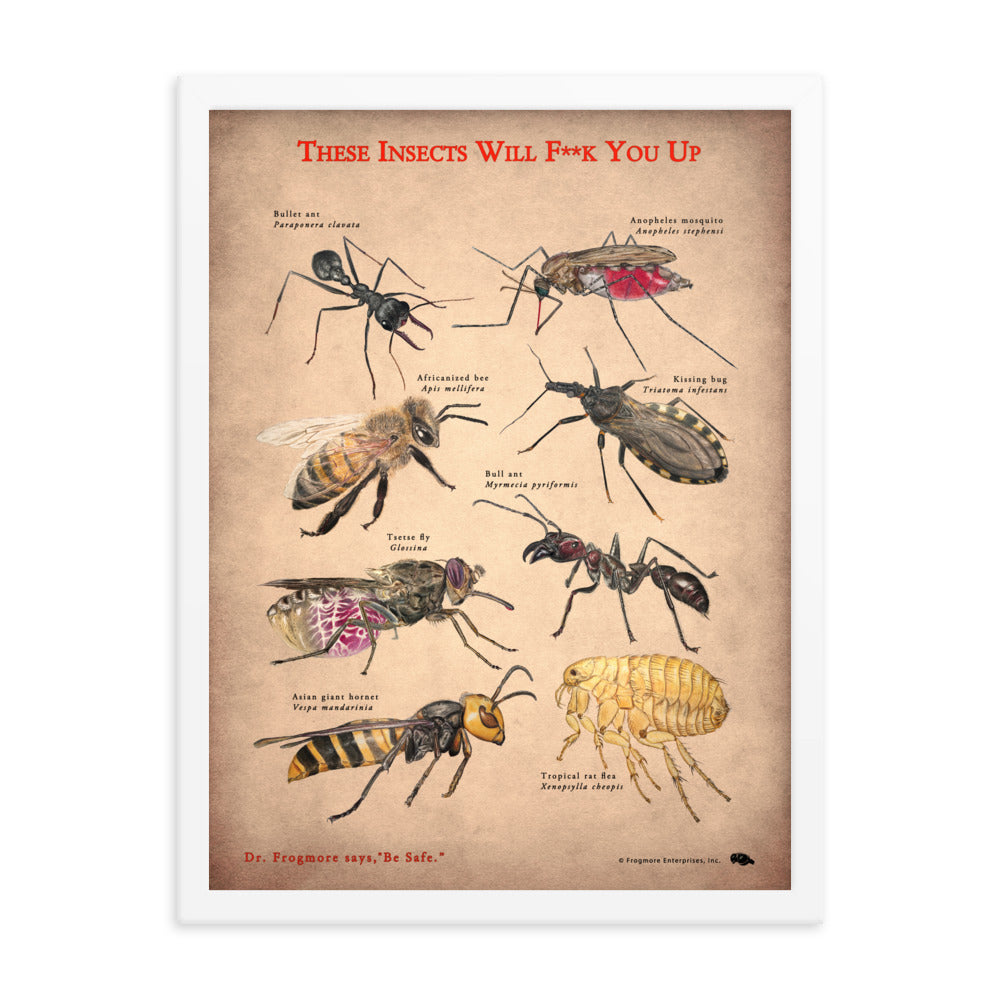 Framed Poster - Killer Insects