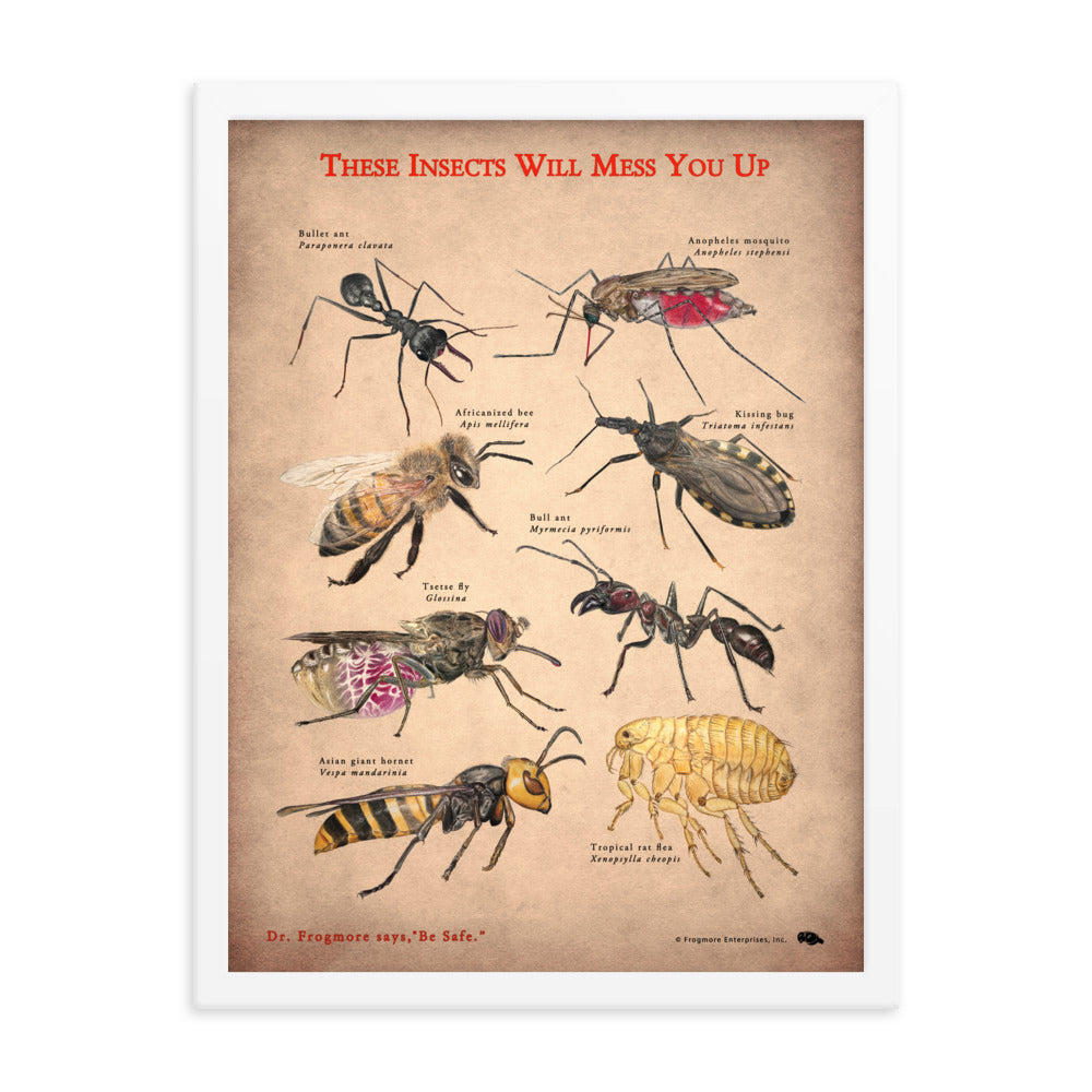 Framed Poster - These Insects Will Mess You Up