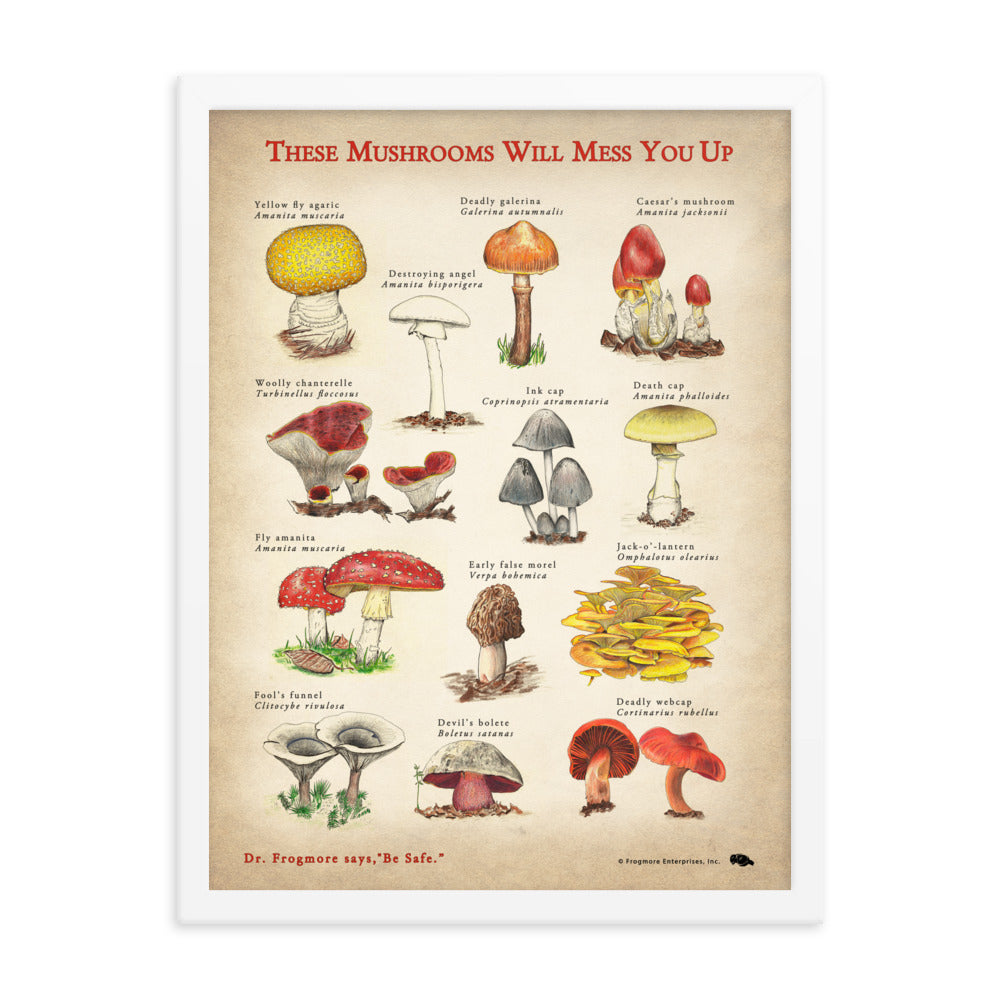 Framed Poster - These Mushrooms Will Mess You Up