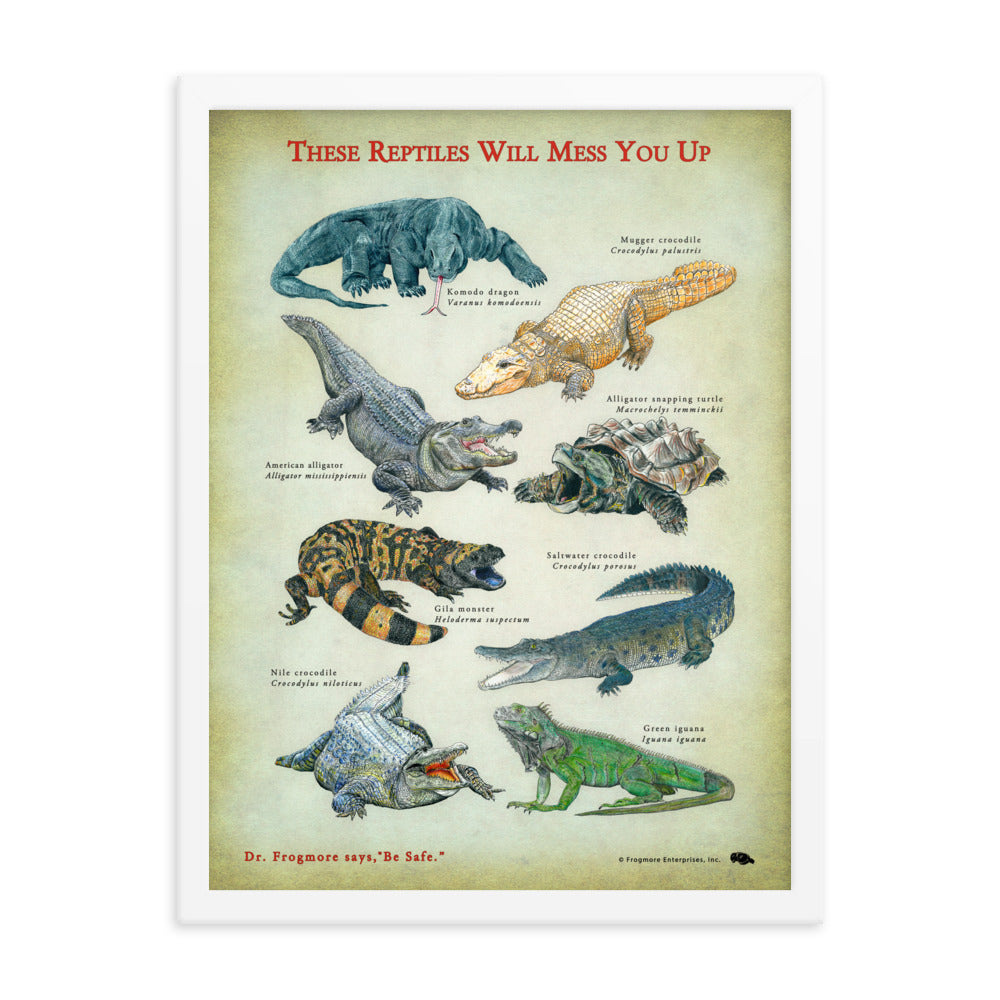 Framed Poster - These Reptiles Will Mess You Up