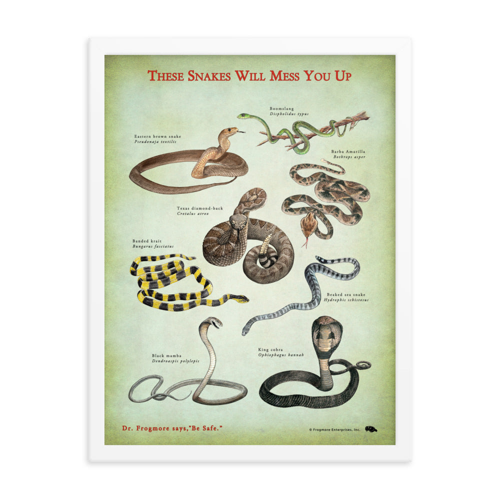 Framed Poster - These Snakes Will Mess You Up