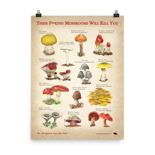 Unframed Poster - Killer Mushrooms