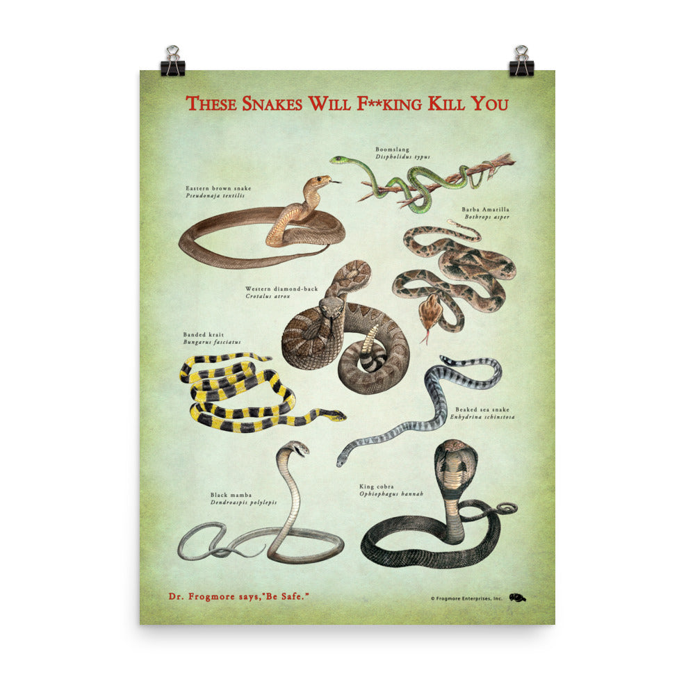 Unframed Poster - Killer Snakes