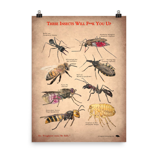 Unframed Poster - Killer Insects