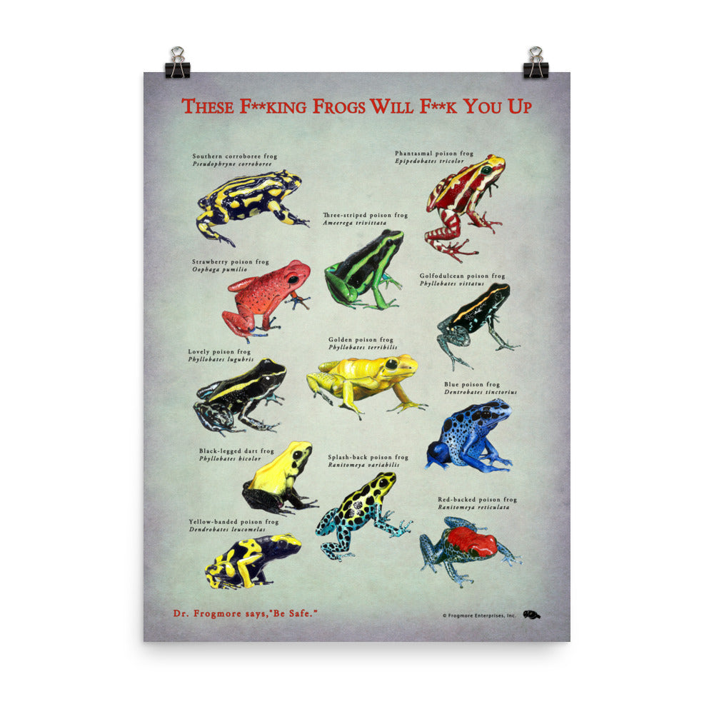 Unframed Poster - Killer Frogs