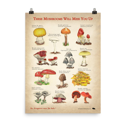 Unframed Poster - These Mushrooms Will Mess You Up