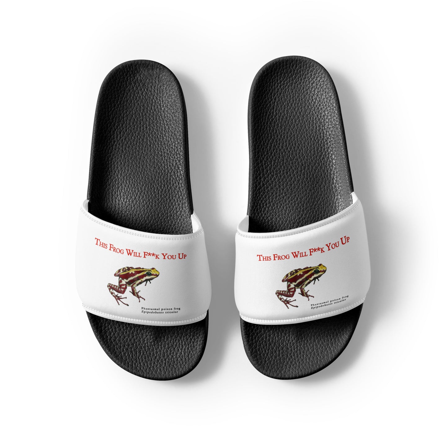 Women's Slides - Killer Snake